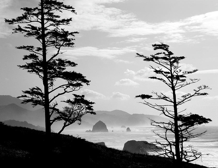 Pacific Northwest Coast Monochrome Photograph by Craig Brewer