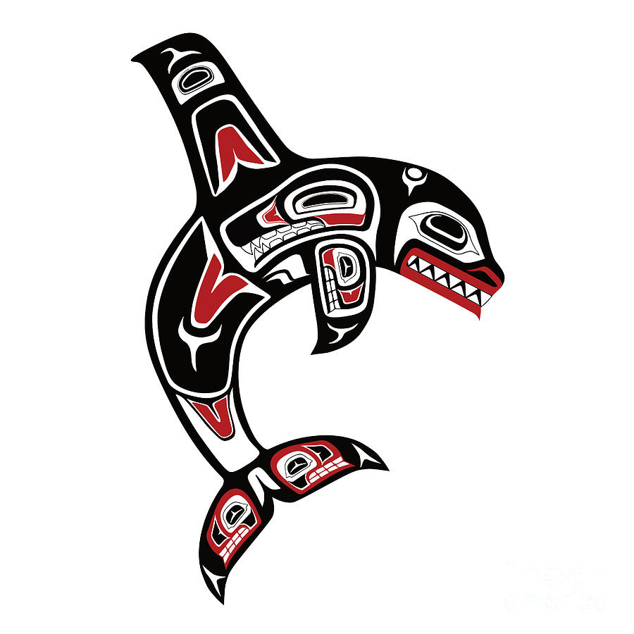 Pacific Northwest Native Orca Killer Whale Digital Art by Beltschazar ...