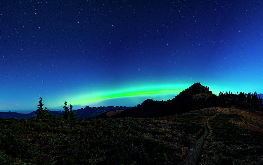 Pacific Northwest Northern Lights Photograph by Pelo Blanco Photo