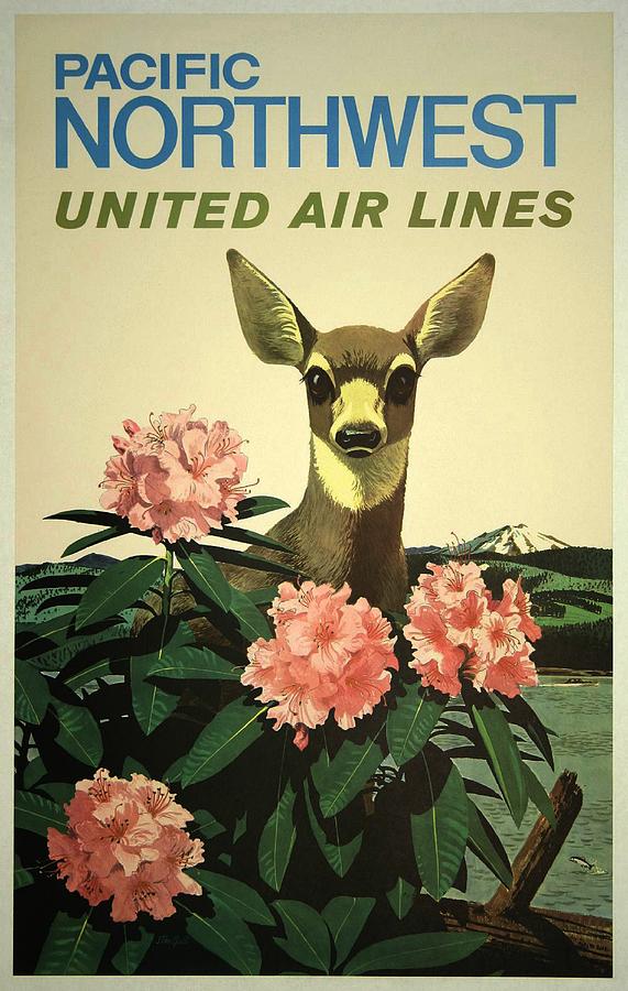 Pacific Northwest United Airlines Poster Photograph