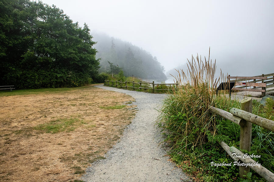 Pacific NW Trail and Bowman Bay in Fog Photograph by Tom Cochran