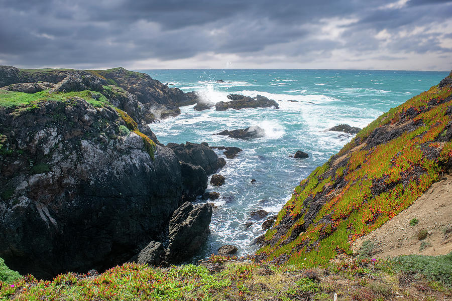 Pacific Ocean Seascape Photograph by Frank Wilson