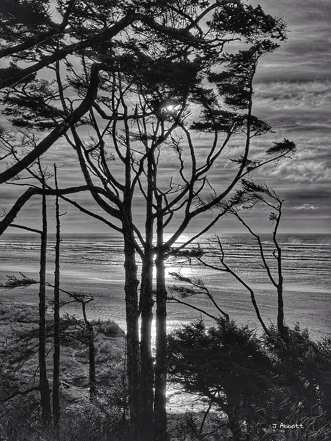 Pacific Ocean Sunset Serenity Photograph by Jerry Abbott Pacific Ocean Sunset Serenity Photograph by Jerry Abbott