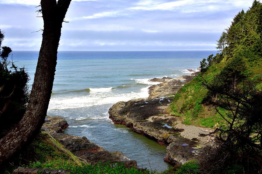 Pacific Ocean View Photograph by Jerry Sodorff