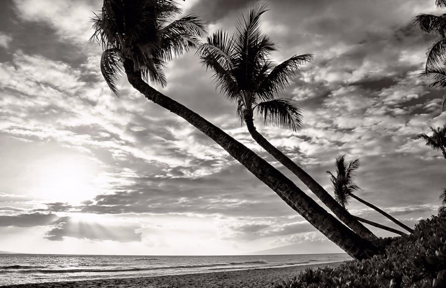 Pacific Paradise Photograph by DJ Florek