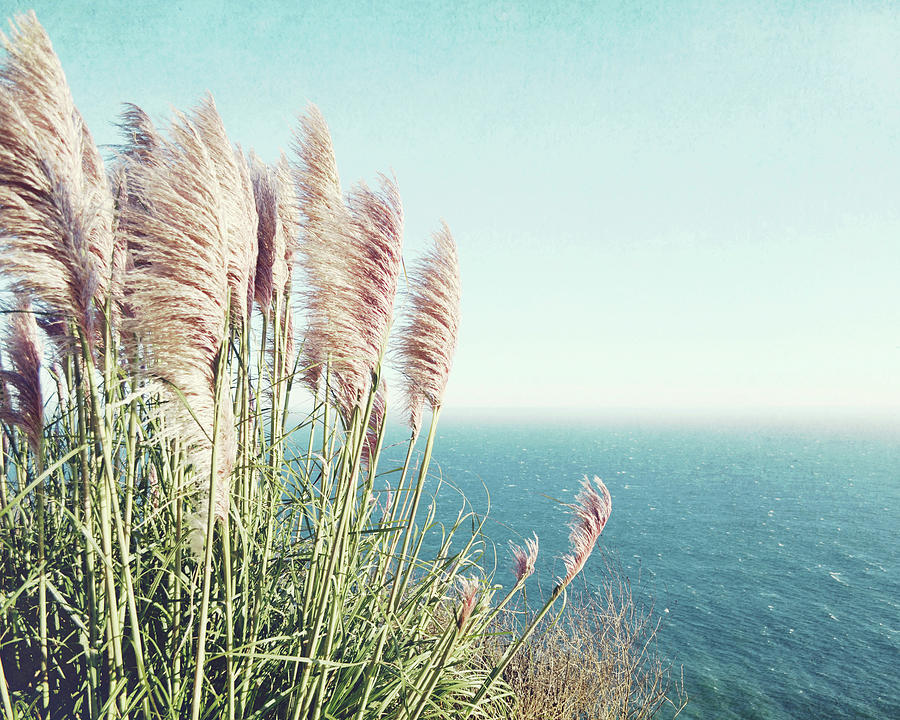 Pacific Sea and Pampas Grass Photograph by Lupen Grainne
