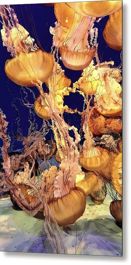 Pacific Sea Nettle Digital Art by Joe Lach