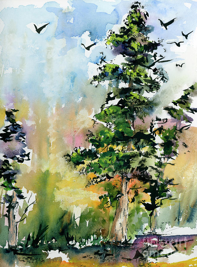 Pacific White Fir Evergreen Trees Painting by Ginette Callaway