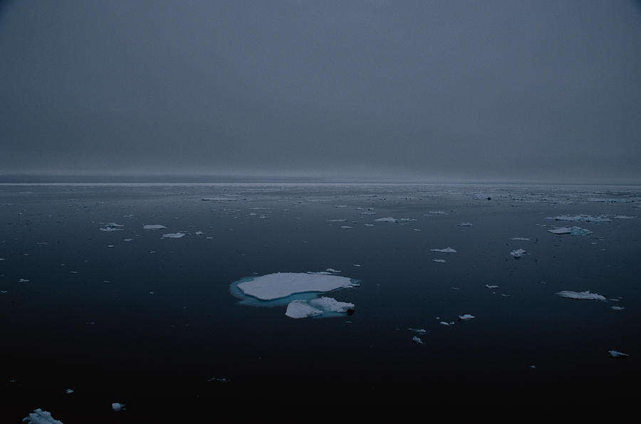 Pack Ice on Arctic Ocean Photograph by Doug Plummer