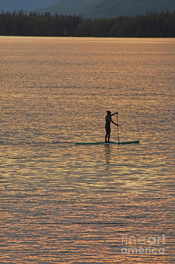 Paddle Board in AK Photograph by Steve Speights