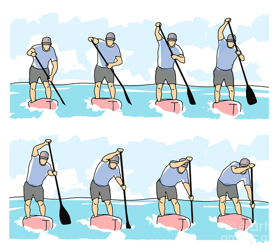 Paddle board technique Drawing by Dmitry Kostyrko - Fine Art America