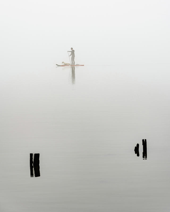 Paddleboarder in Fog Photograph by Kevin Suttlehan