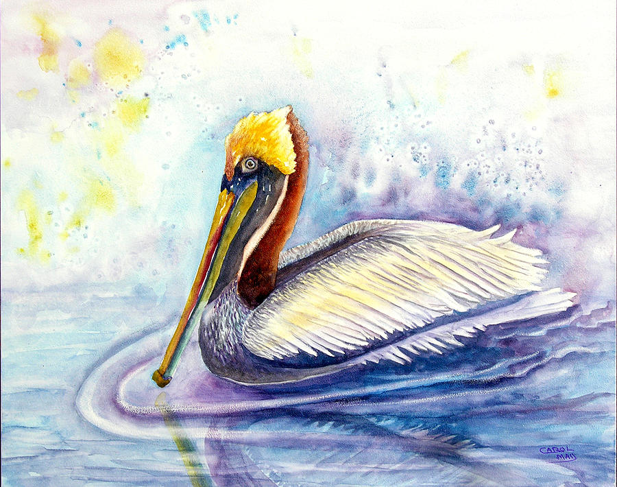 Paddlin Pelican Painting by Art by Carol May