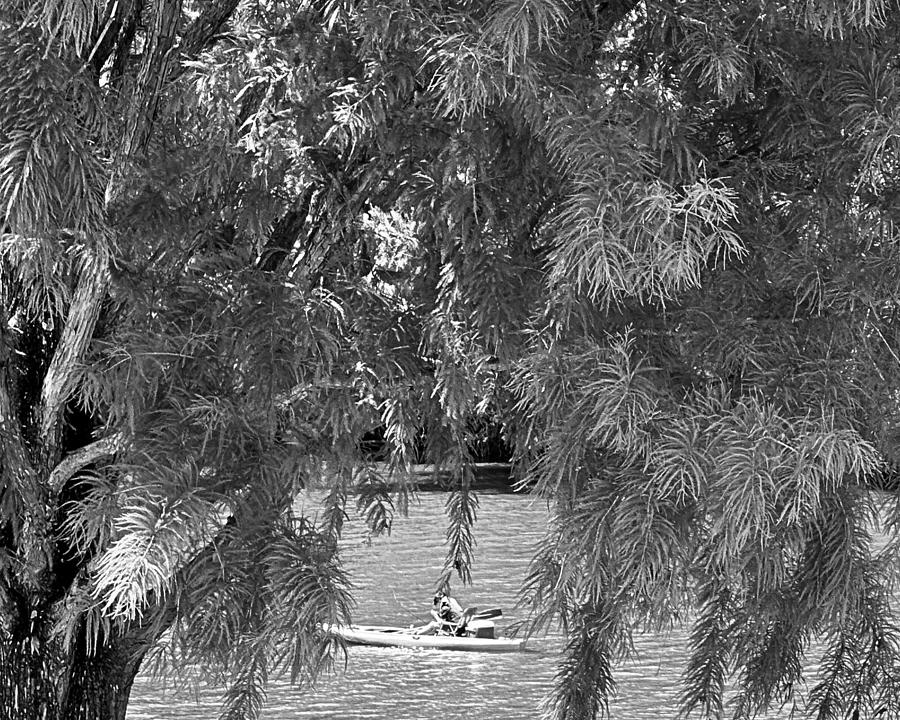 Paddling the Tar BW Photograph by Lee Darnell