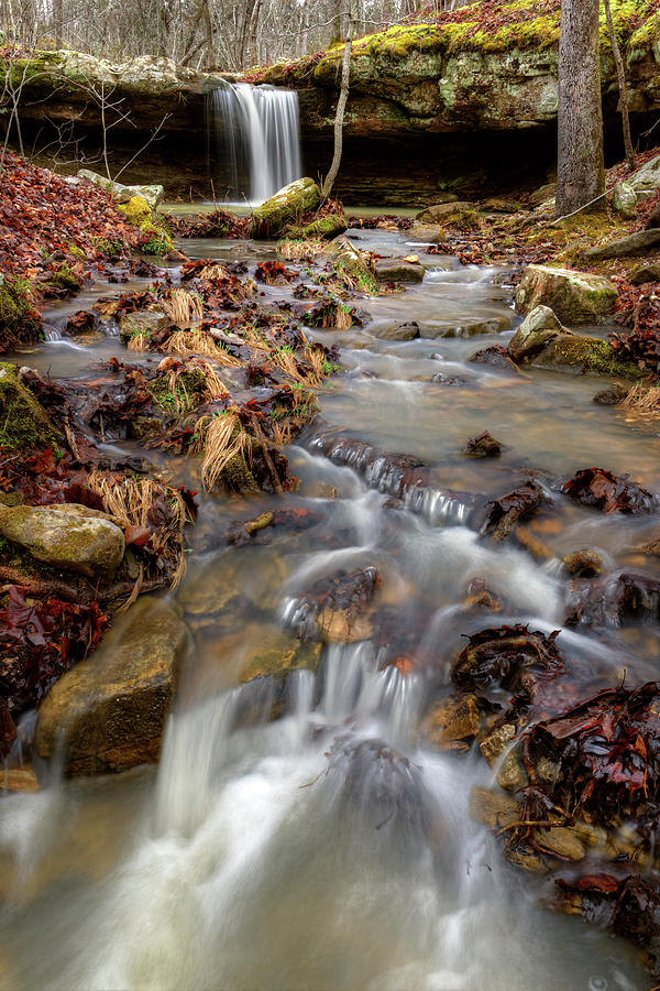 Paddy Creek Wilderness Photograph by Robert Charity
