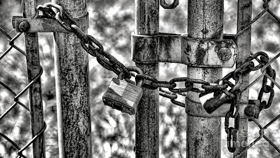 Chain Photograph - Padlock on a Chain Link Fence Gate by Olivier Le Queinec...