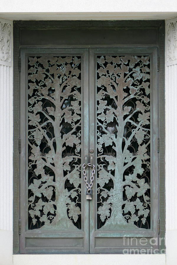 Padlocked metal doors Photograph by Bentley Davis