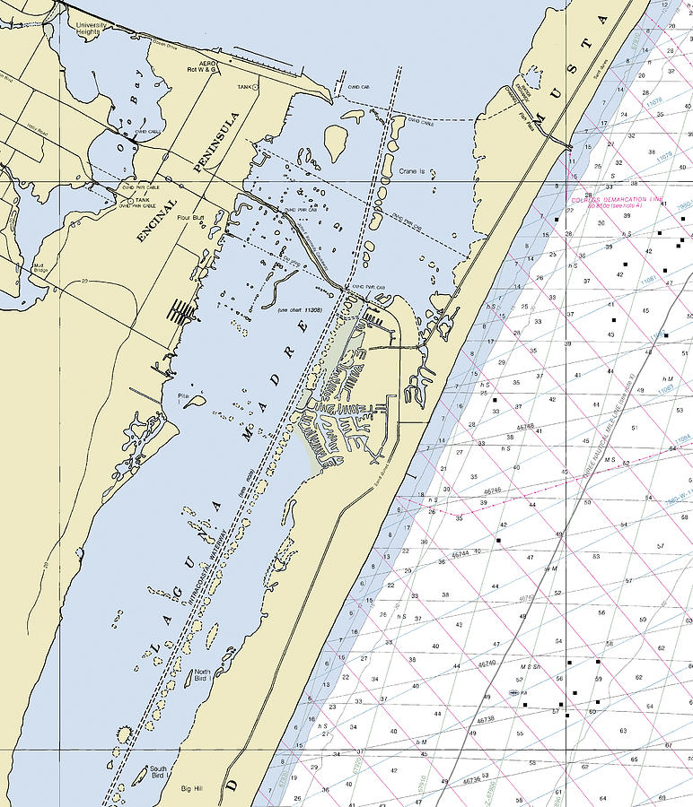 Padre Island Texas Nautical Chart Digital Art by Sea Koast Fine Art