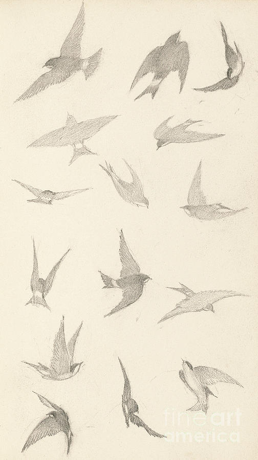 Page from a sketchbook, birds Drawing by Sergei Vasilevich Chekhonin