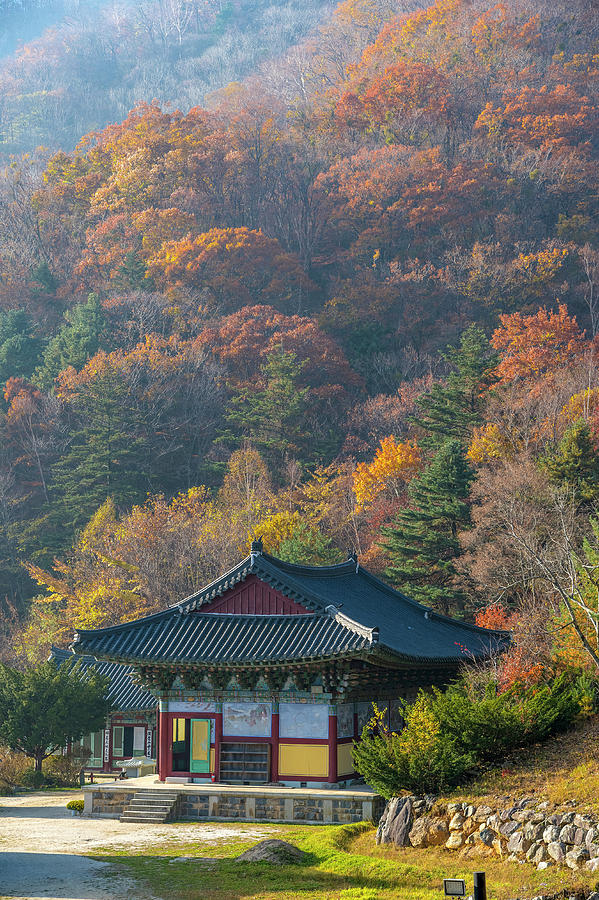 Pagoda in South Korea Photograph by Son Nguyen - Fine Art America