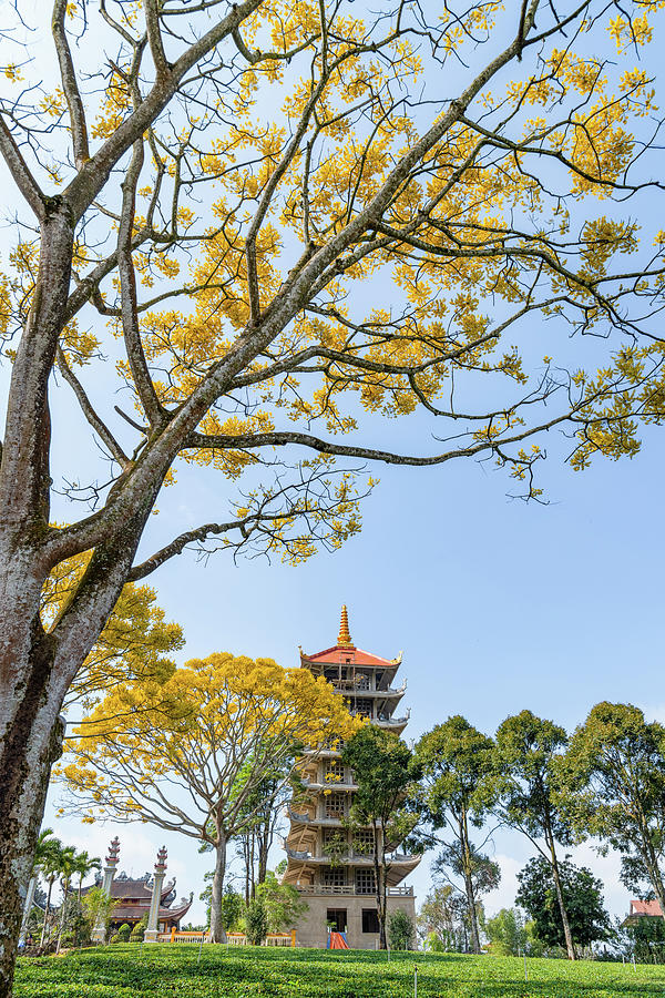 Pagoda in Southeast Asia Photograph by Khanh Bui Phu