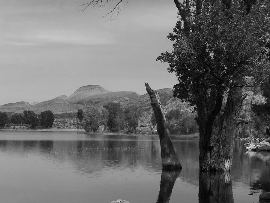 Pahranagat Photograph by Kathleen Taylor - Fine Art America