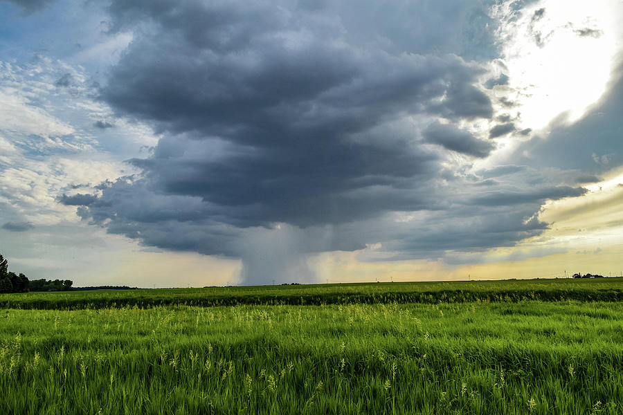 Pain Storm Photograph By Teresa Considine - Fine Art America