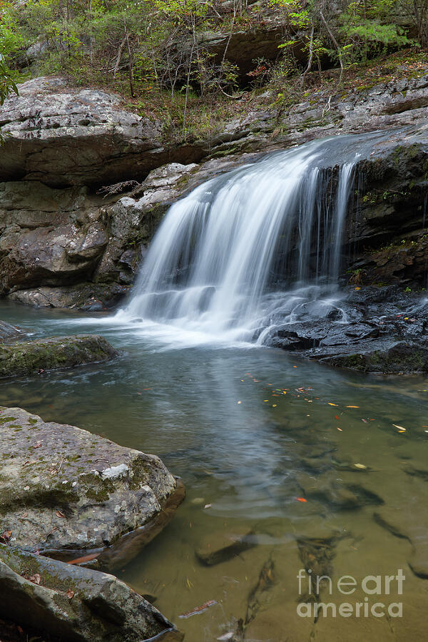 Paine Creek Waterfall 38 Photograph by Phil Perkins - Fine Art America