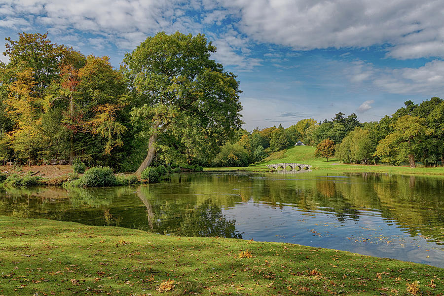 The lost Oak of PainsHill Park, Cobham Surrey England Photograph by John Gilham