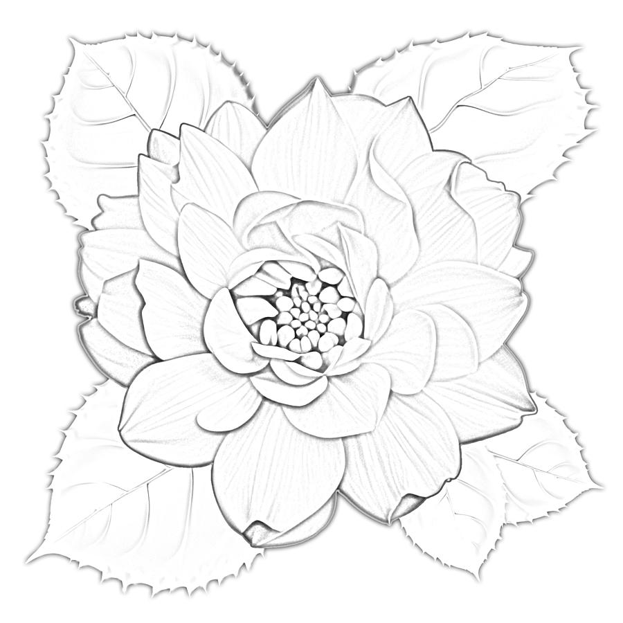 Paint A Sketch Rose with Leaves Digital Art by Delynn Addams