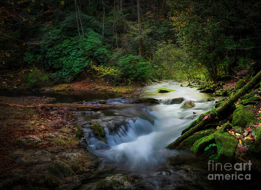Paint Creek Photograph by Shelia Hunt