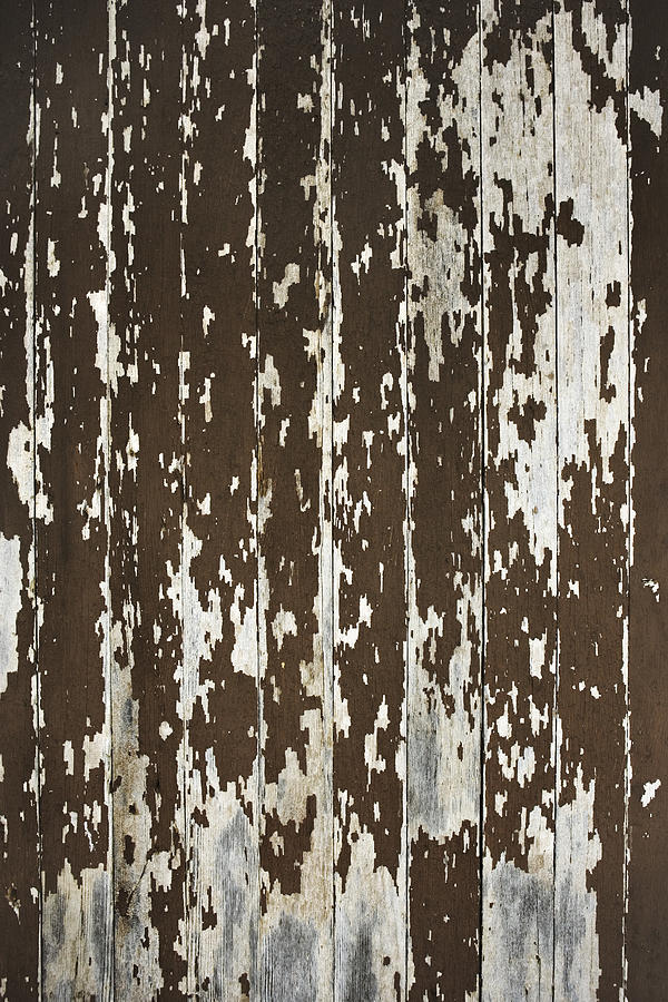 Paint flaking from wooden surface Photograph by Jupiterimages
