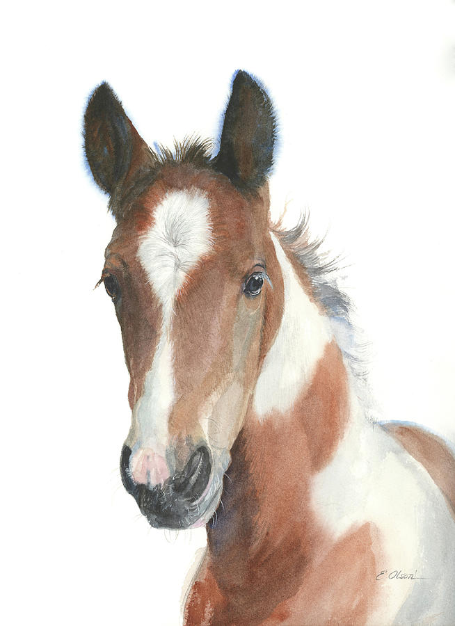 Paint Foal Painting by Emily Olson