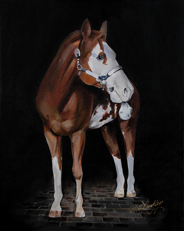 Paint Horse Breed Painting by Bill Dunkley