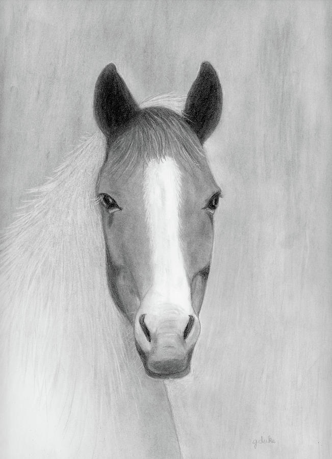 Paint Horse Drawing by Gerri Duke