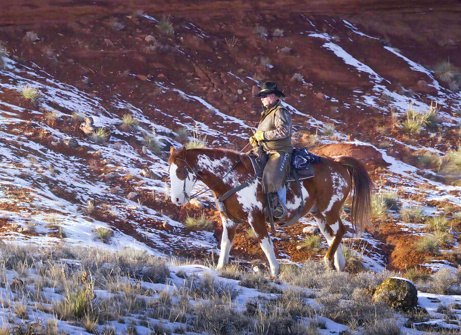 Paint Horse in Camouflage Photograph by Cheryl Strahl Paint Horse in Camouflage Photograph by Cheryl Strahl