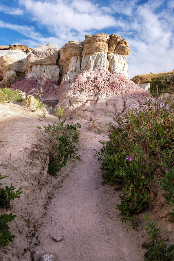 Paint Mines Path Photograph by Alicia Glassmeyer