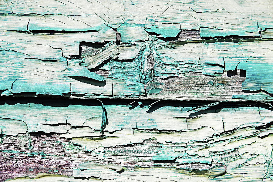 Paint Peeling On Wood Photograph by Debbie Oppermann