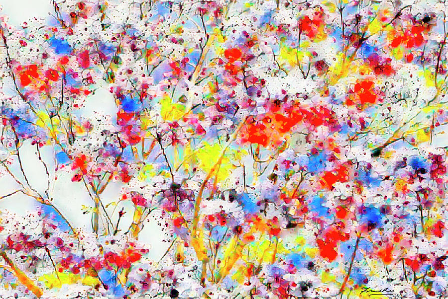 Paint Splatter Painting by Frank Lee