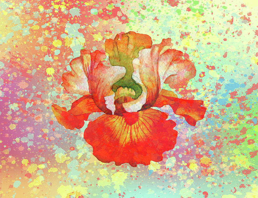 Paint Splattered Iris Digital Art by Rosalie Scanlon