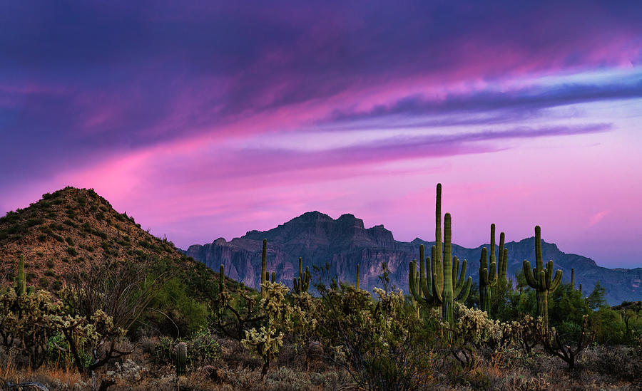 Paint The Desert Skies Pink And Purple Photograph by Saija Lehtonen ...