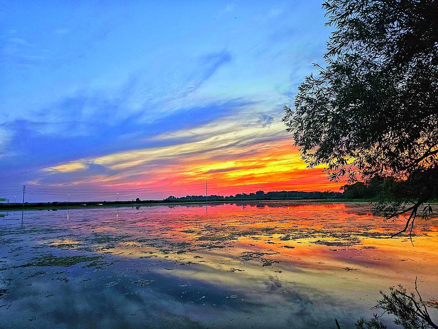 Sunset Photograph - Paint the Sky and the Water will Match by Tamaira Rettie