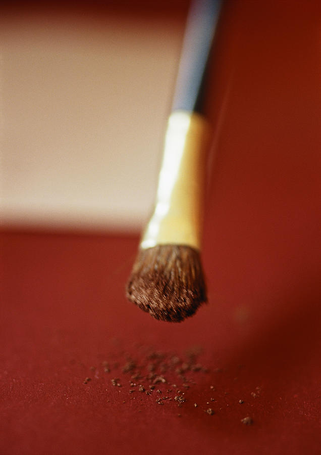 Paintbrush, close-up Photograph by Michele Constantini