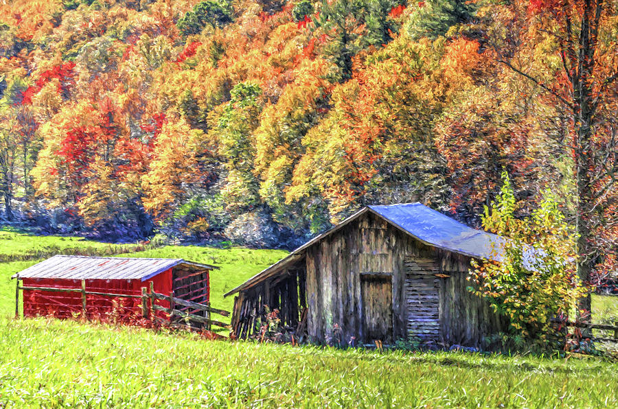 Painted Barns in Fall Photograph by Carol Montoya