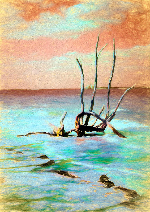 Painted Beach Driftwood Mixed Media by Rosalie Scanlon