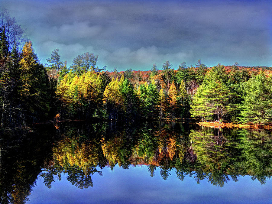 Painted Beaver Pond on Orris Road Photograph by Wayne King