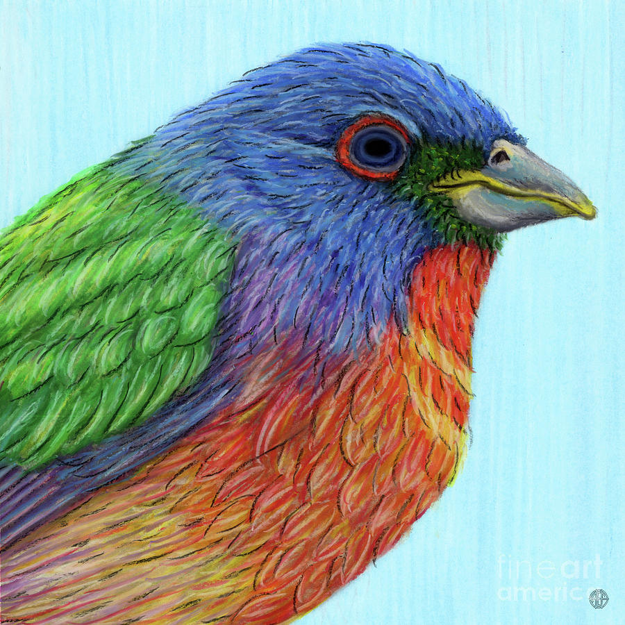 Painted Bunting Painting by Amy E Fraser