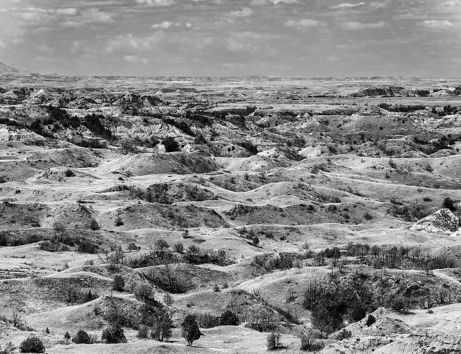 Painted Canyon Overlook Black And White Photograph by Dan Sproul