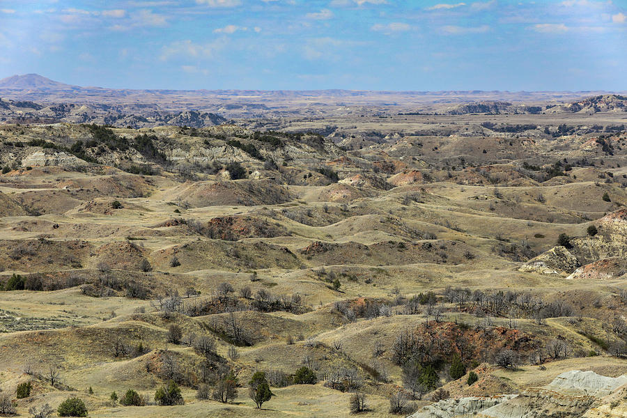 Painted Canyon Theodore Roosevelt National Park Photograph by Dan Sproul