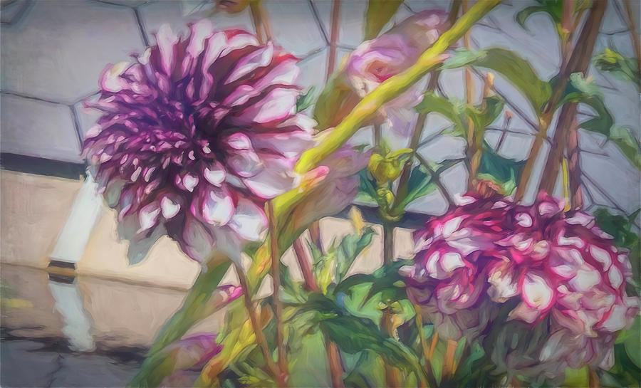 Painted Dahlias 1 Photograph by Cathy Anderson